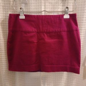 Express Design Studio Skirt